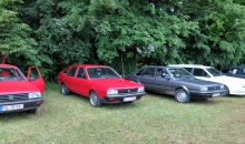 VW Passat-Treffen Heiligenstadt 2016