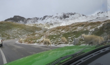 Alpentour 2015 Tag6 060