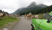 Alpentour 2015 Tag6 091