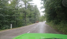 Alpentour 2015 Tag7 011