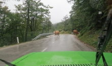 Alpentour 2015 Tag7 012