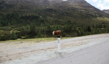 Alpen Tag 2 024