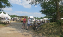 Bockhorn 2015 Castricum-002.jpg