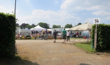 Bockhorn 2015 Castricum-004.jpg