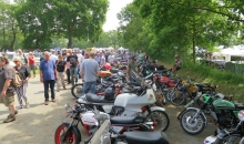Bockhorn 2015 Castricum-029.jpg