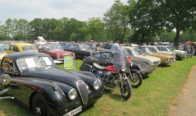Bockhorn 2015 Castricum-030.jpg
