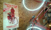 heidemann-lady-bike