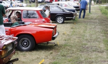 Heide-Histo 2014  03
