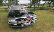 Heide-Histo 2014  15