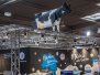Oldtimer-Wochenende Infa Hannover 2022