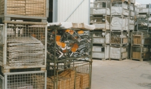 Klötze 1998  008