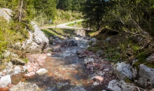 MINI-ALPENTOUR 2019