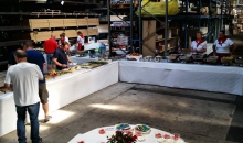 Niederelbe Classics 2015-013