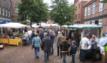 Oldtimertreffen-Winsen-Luhe-2013-3