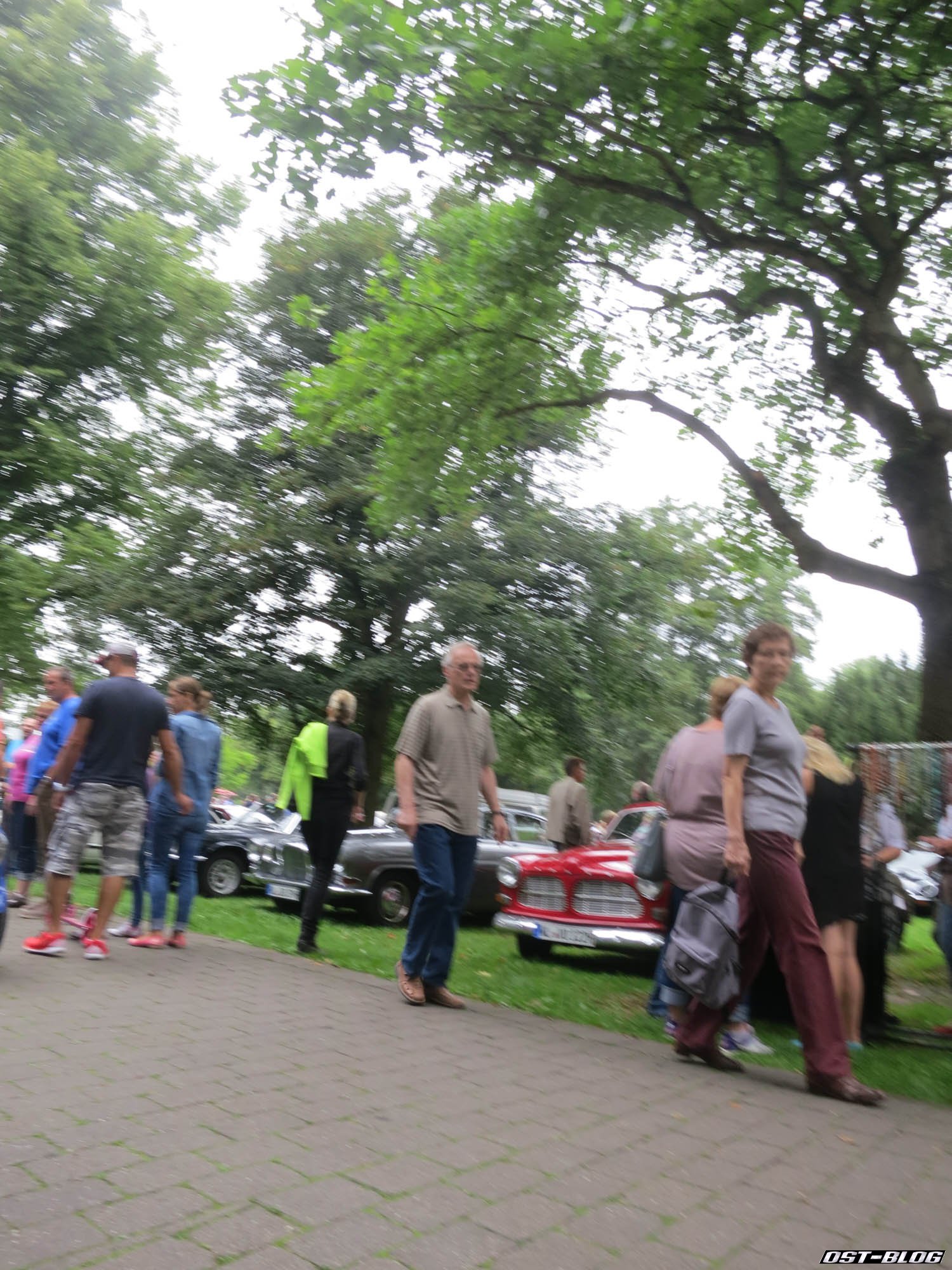 Oldtimertreffen-Winsen-Luhe-2015-23