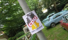 Oldtimertreffen-Winsen-Luhe-2015-25