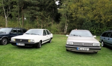 Passat-Treffen 2013 in Drangstedt