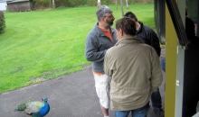 Passat-Treffen 2013 in Drangstedt