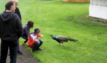 Passat-Treffen 2013 in Drangstedt