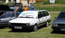Passat-Treffen 2014  010