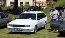 Passat-Treffen 2014  011