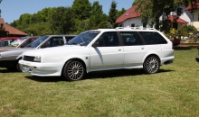 Passat-Treffen 2014  016