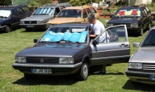 Passat-Treffen 2014  023