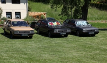 Passat-Treffen 2014  025