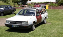 Passat-Treffen 2014  027