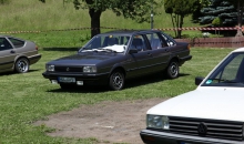 Passat-Treffen 2014  028