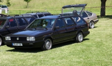 Passat-Treffen 2014  029