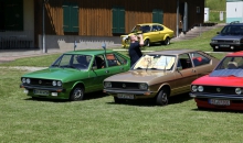Passat-Treffen 2014  040