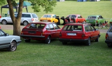 Passat-Treffen 2014  122