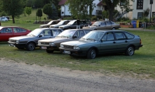 Passat-Treffen 2014  127
