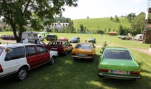 Passat-Treffen 2014  131
