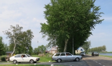 Passat-Treffen 2015 Castricum-041.jpg