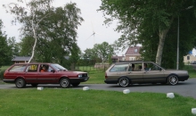 Passat-Treffen 2015 Castricum-044.jpg