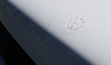Passat-Treffen 2015 Castricum-118.jpg