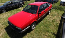 Passat-Treffen 2015 Castricum-127.jpg