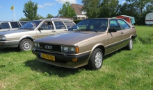 Passat-Treffen 2015 Castricum-148.jpg