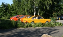 Passat-Treffen-2009-002