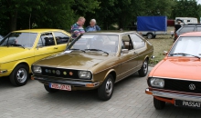 Passat-Treffen-2009-020