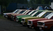 Passat-Treffen-2009-058