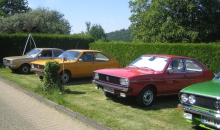 Passat-Treffen 2012  027