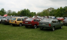Passat-Treffen Sülfeld 2010 027