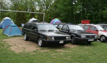Passat-Treffen Sülfeld 2010 032