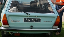 Passat-Treffen Sülfeld 2010 045