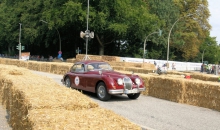 stadtpark-revival-201351