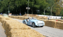 stadtpark-revival-201354