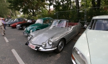 stadtpark-revival-201370